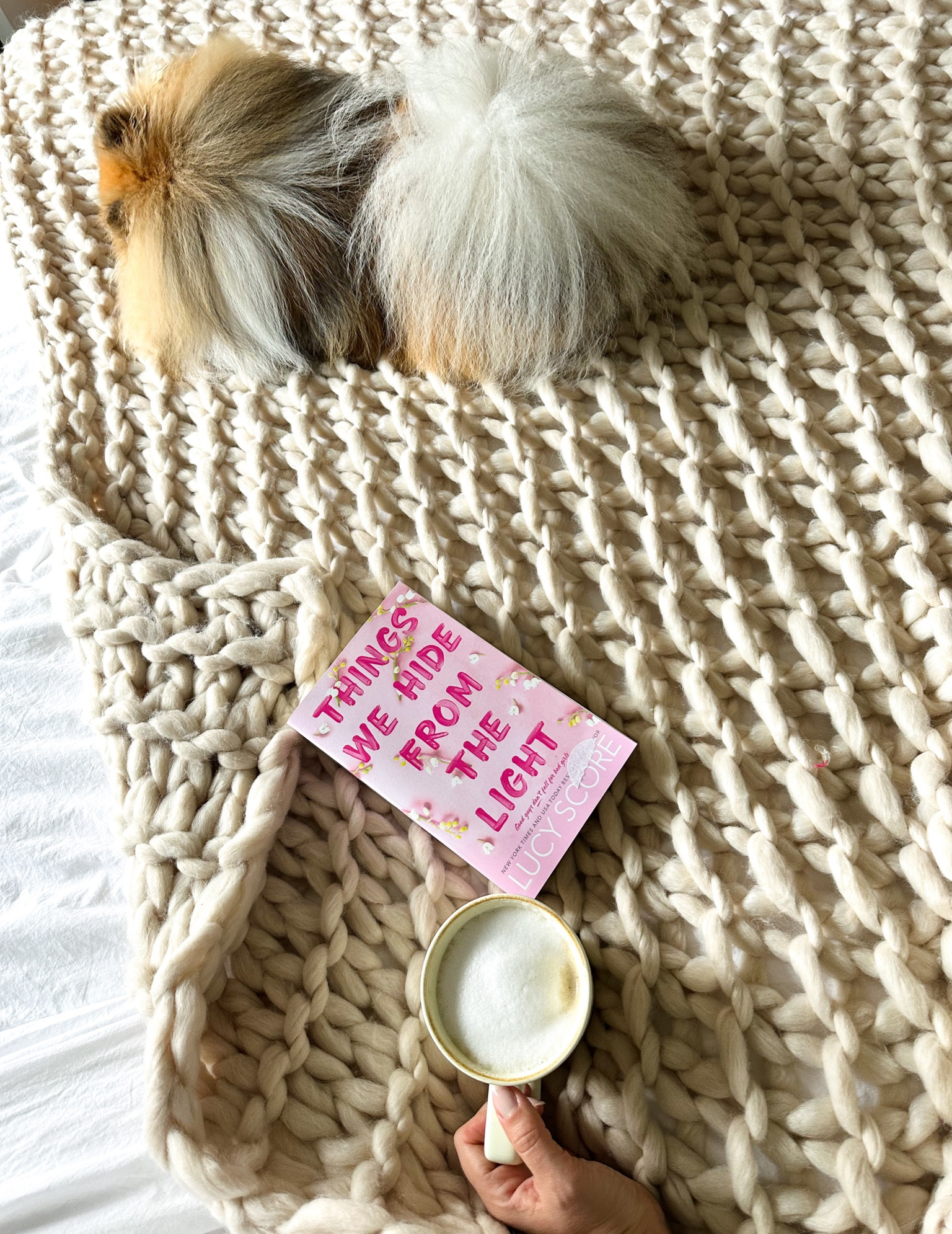 Cozy mornings with our new throw✨
#cozy #homedecor #throw #blanket #book #gift #giftidea


#LTKGiftGuide #LTKSeasonal #LTKhome