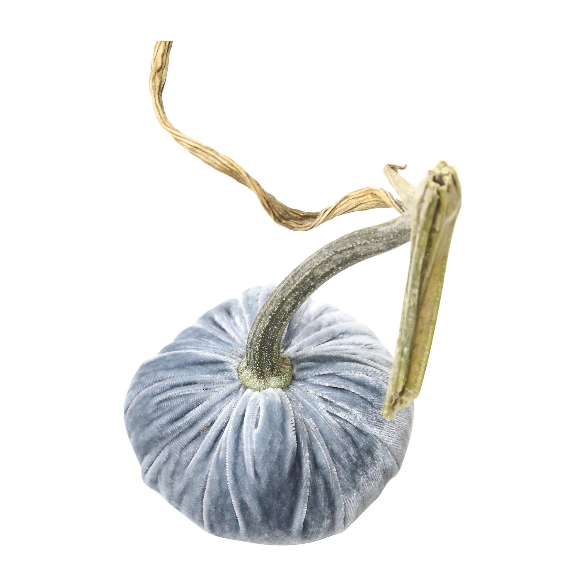 Velvet Pumpkin, Lake | Maisonette