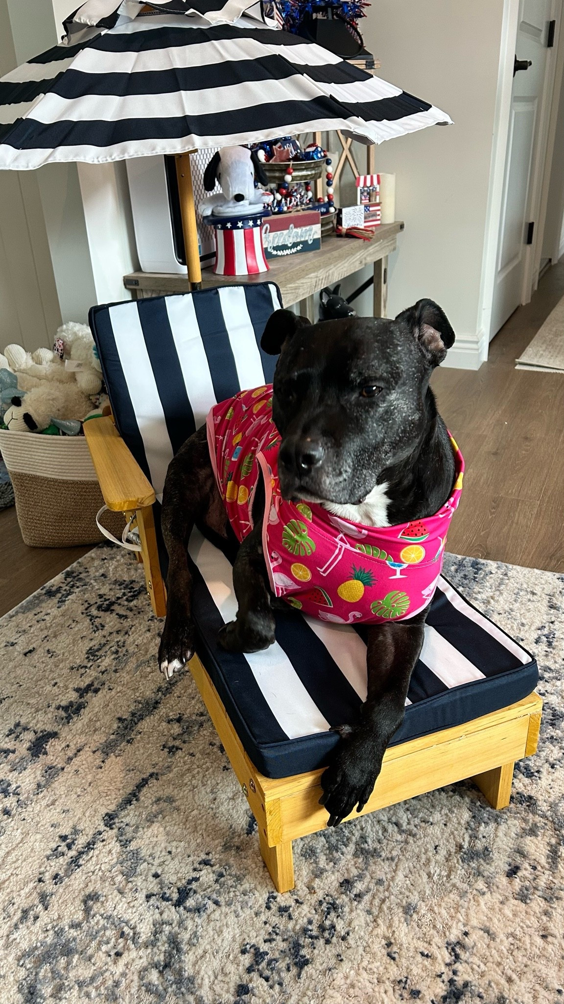 Bought Zuma his own chaise lounge for summer and now he thinks he’s officially retired. 🌊☀️😂

The weather in NY may still be stuck in the 50s, but that’s not stopping him from enjoying his “waterfront property” from the living room. For reference Zuma is 65 lbs and fits perfectly.

#LTKmomlife #LTKSeasonal #LTKKids
