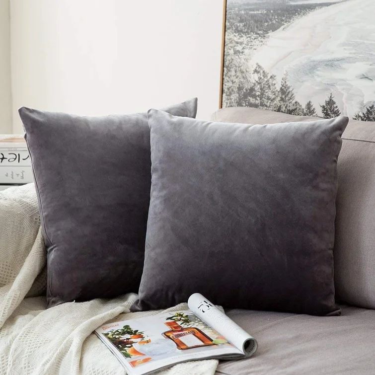 Solid Velvet Pillow Cover | Wayfair North America