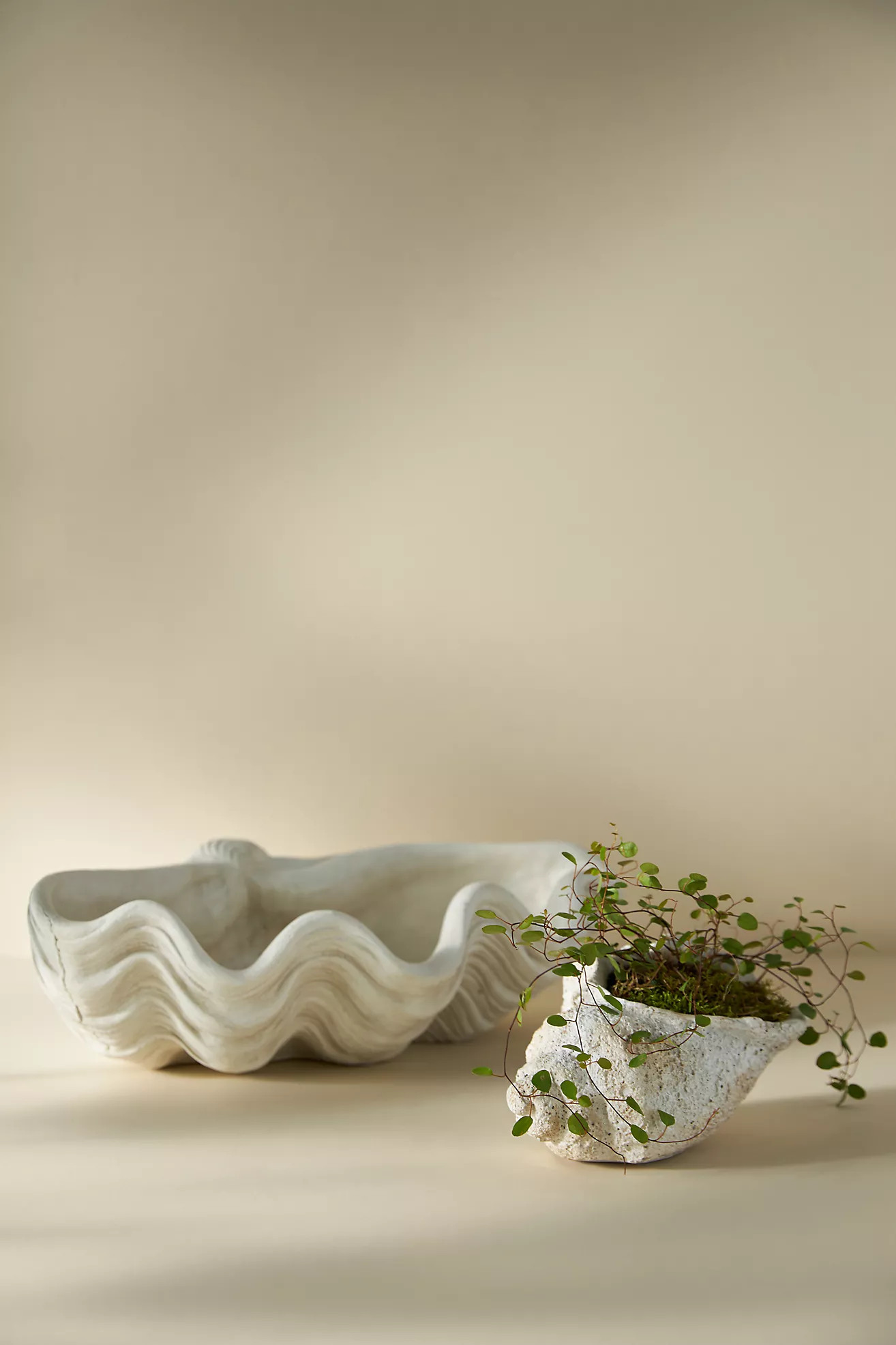 Seascape Cement Vessel | Anthropologie (US)