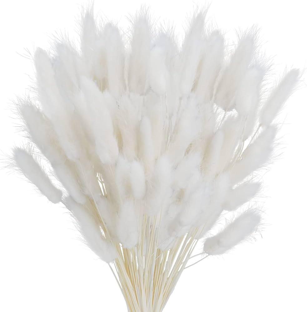 100Pcs Bunny Tails Dried Flowers, Natural Dried Bunny Tails Grass Dried Lagurus Ovatus Rabbit Tai... | Amazon (US)