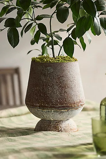 Fluted Iron Urn Planter | Anthropologie (US)