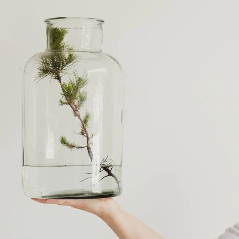 Blown Glass Pickling Jar | Elsie Green US