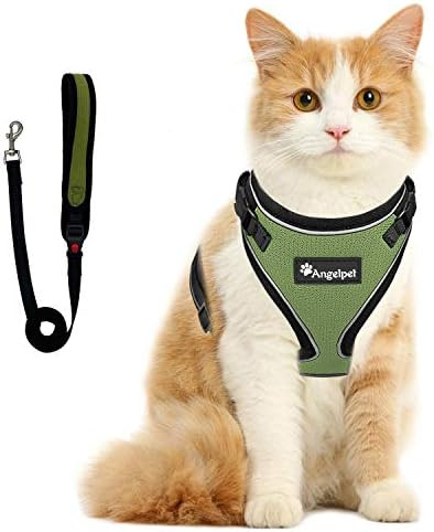 Cat Harness and Leash Set for Walking Escape Proof,Kitten Harness,Super Soft Adjustable Breathabl... | Amazon (CA)