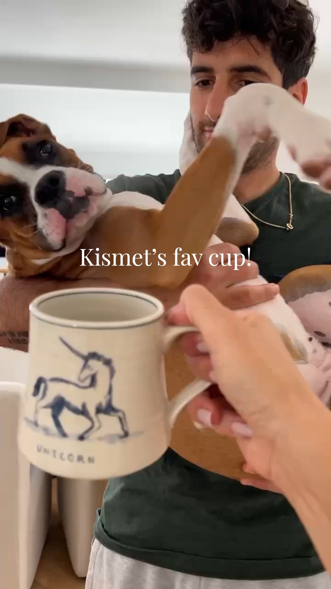Kismet loves this cup 🤣 Tagging a similar version!

#LTKFindsUnder100 #LTKmorningroutine #LTKFindsUnder50