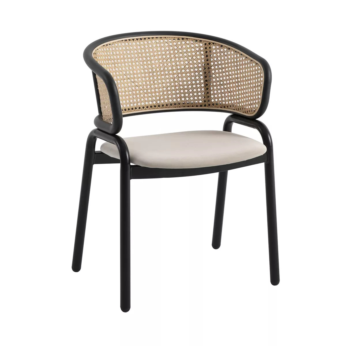 Ervilla Modern Dining Chair with Black Frame by Leisuremod | Target