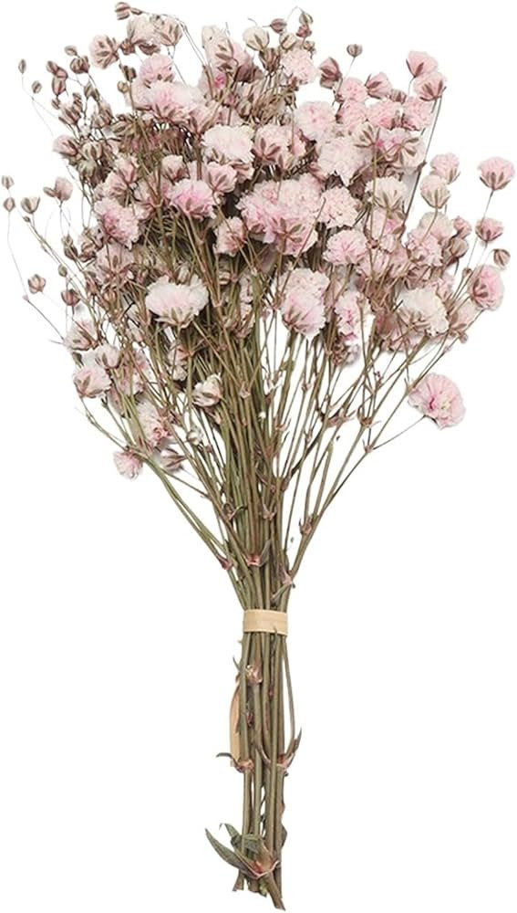 Decorative Home Decoration Photo Props Wedding Decor Real Flower Plant Stems Natural Dried Bouque... | Amazon (US)