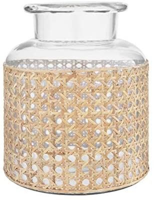 Bloomingville 8" H Glass Decorative Cane Sleeve Vase, Clear | Amazon (US)