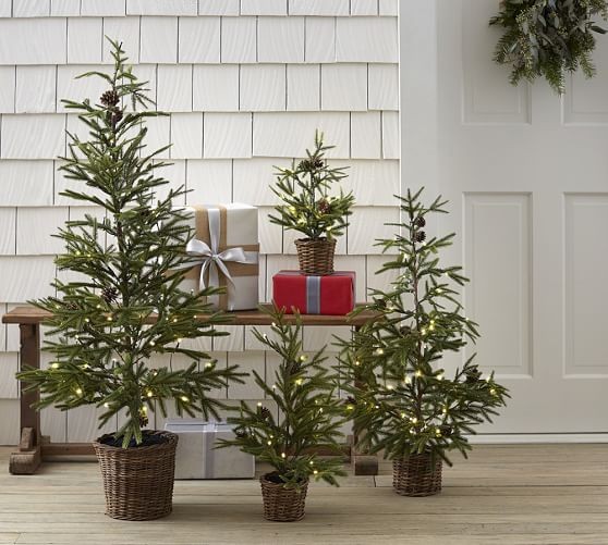 Lit Faux Pine Trees in Baskets | Pottery Barn (US)