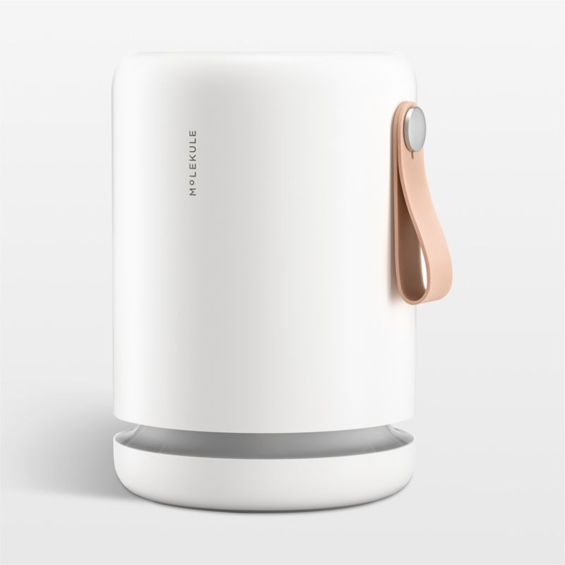 Molekule Air Mini+ Air Purifier with PECO-HEPA Tri-Power filter + Reviews | Crate & Barrel | Crate & Barrel