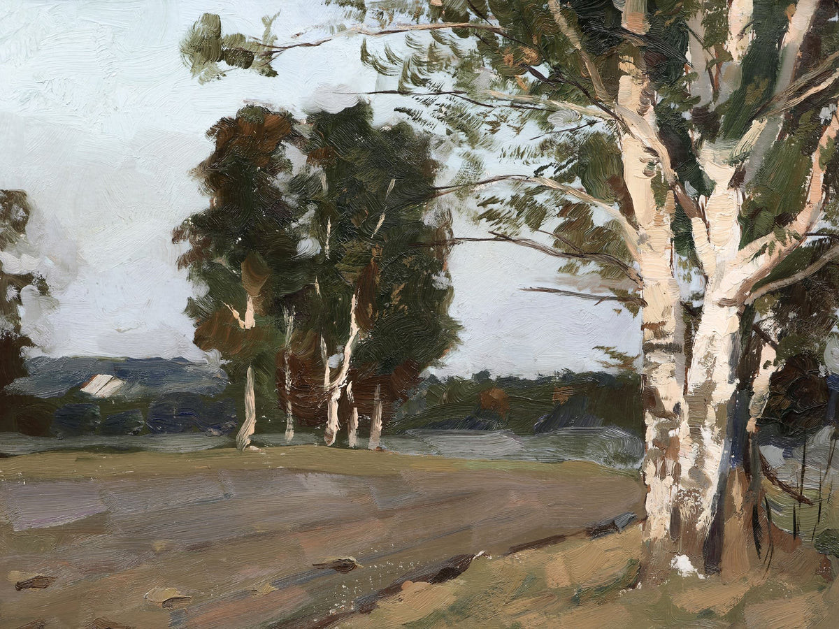 Sunlit Birch | Collection Prints