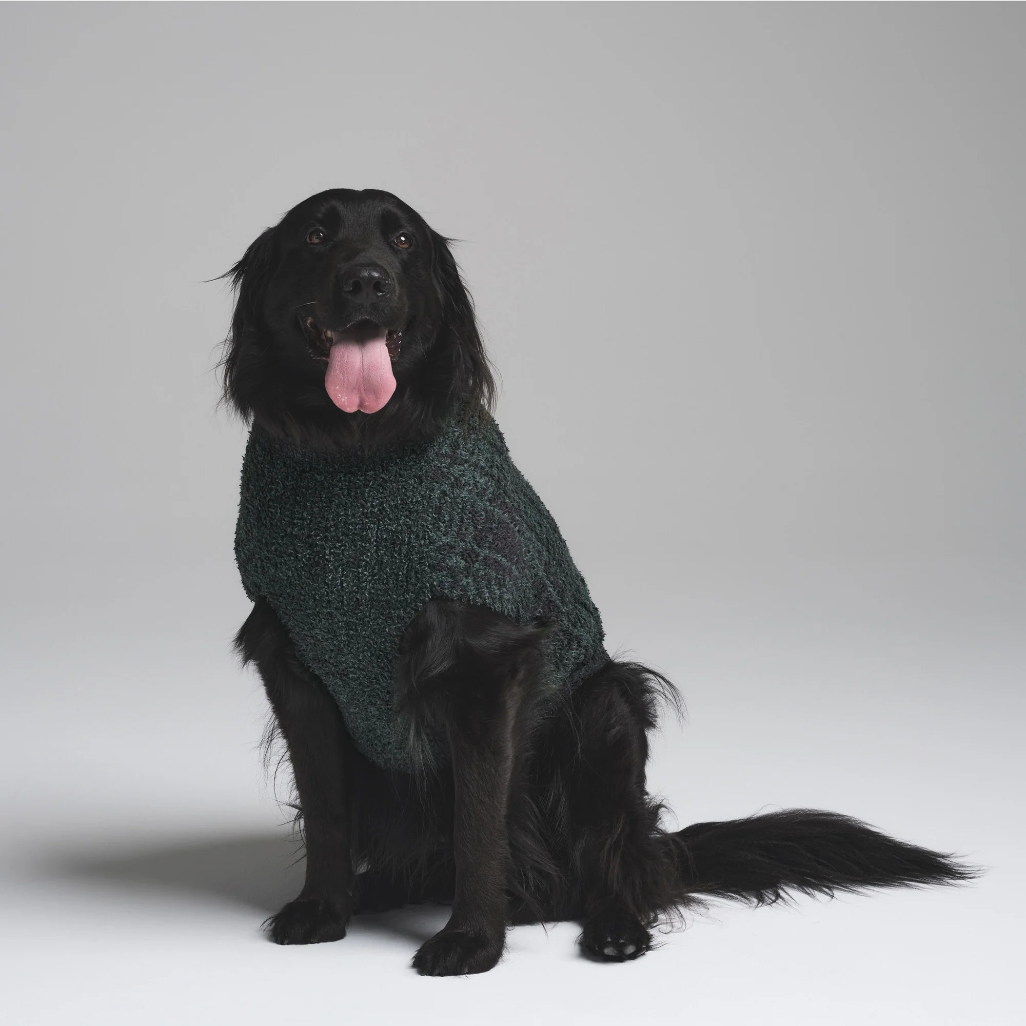 SKIMS Knit Pet Sweater | Green | Small | Cozy | SKIMS (US)