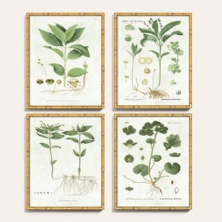 Pictures of Nordic Flora Art | Ballard Designs, Inc.