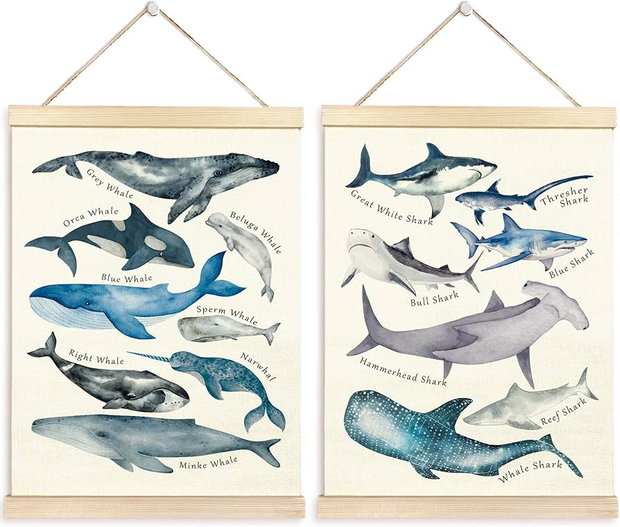 TAEDIN Ocean Animal Chart Wall Art Poster Hanger Frame Set of 2 - Shark Whale Wall Decor with Woo... | Amazon (US)