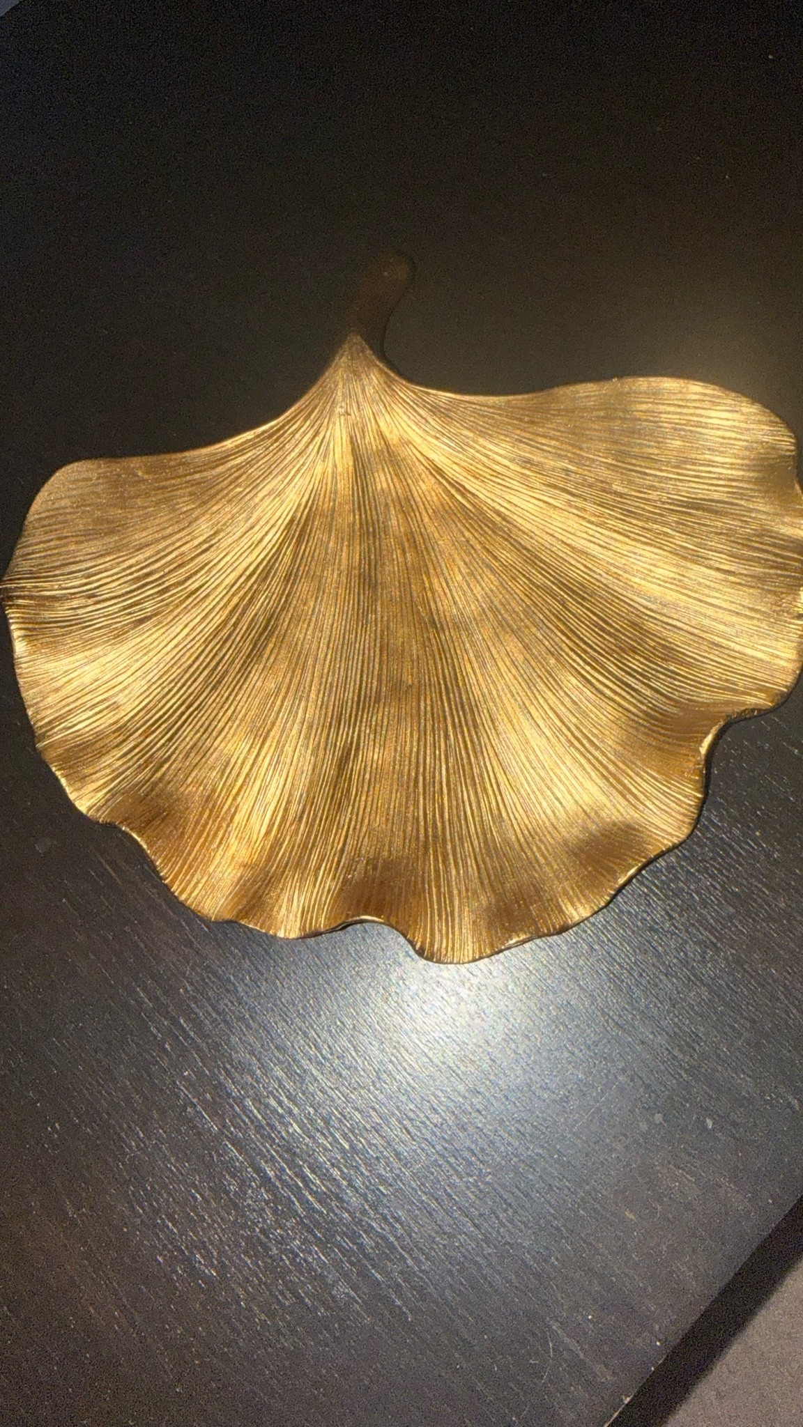 This decorative leaf is back in stock and has been on my coffee table for some time and is such a great accent piece. The price? Unbelievable

#LTKHome #LTKOver40