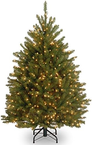 National Tree Company Pre-Lit Artificial Mini Christmas Tree, Green, Dunhill Fir, White Lights, I... | Amazon (US)