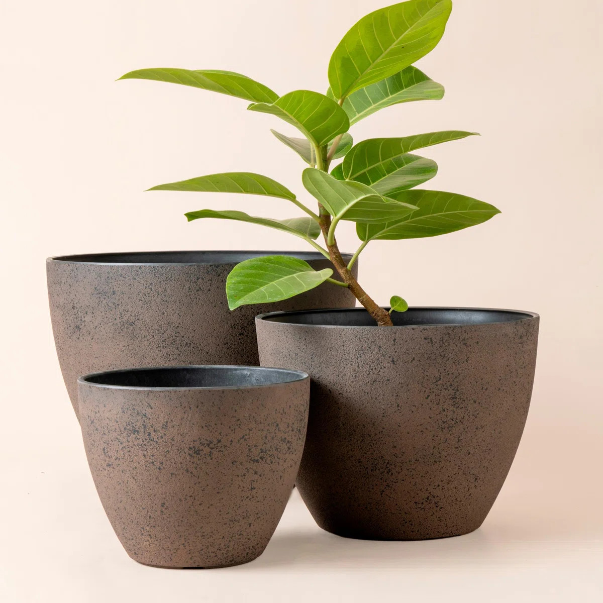 Nova 3 Set Plastic Planter Pots for Outdoor Plants (Set of 3) | Wayfair North America