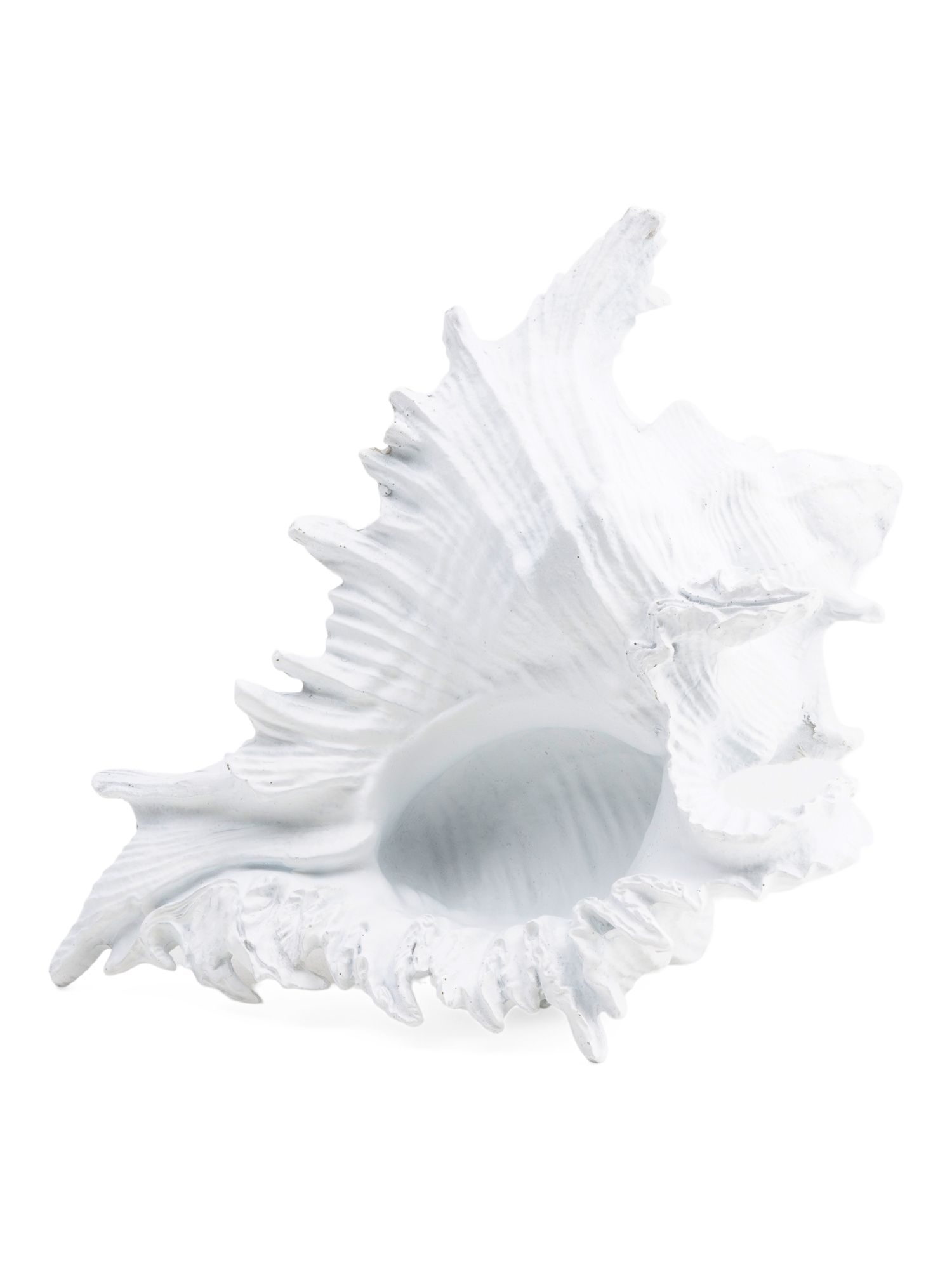 7in Polyresin Conch Shell Decor | TJ Maxx