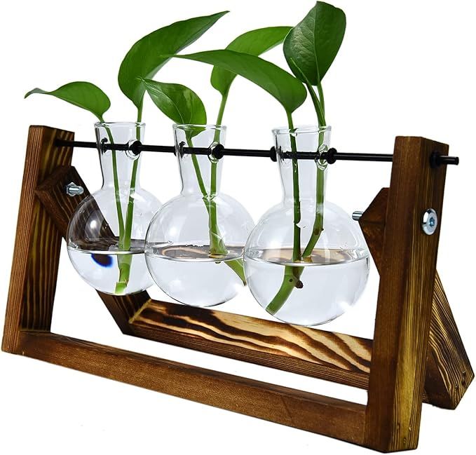 Pomeat Plant Propagation Stations Glass Planter Bulb Vase with Solid Wooden Stand and Metal Swive... | Amazon (US)