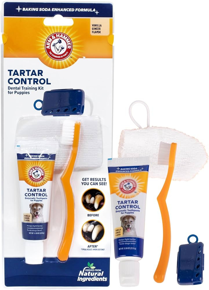 Amazon.com : Arm & Hammer for Pets Tartar Control Dental Training Kit for Puppies | Dog Toothbrus... | Amazon (US)