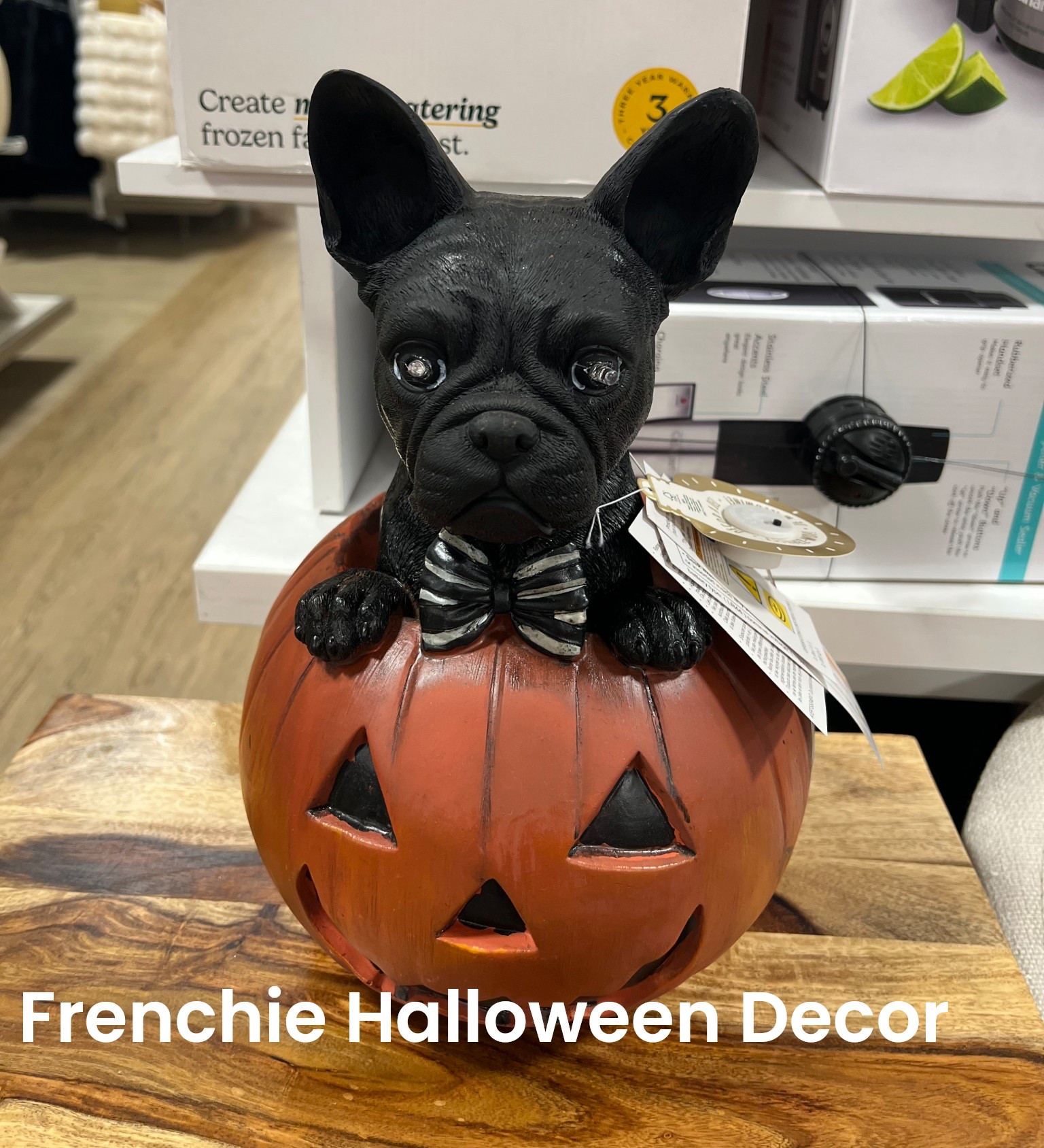 French Bulldog Halloween 🎃 Decoration- the eyes light up! Spotted today at @Home goods #frenchie #halloween #frenchbulldog 

#LTKHalloween