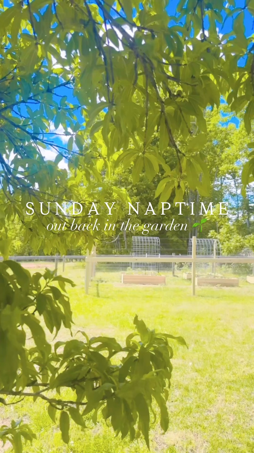 And spent Sunday naptime out back in the garden 🌱