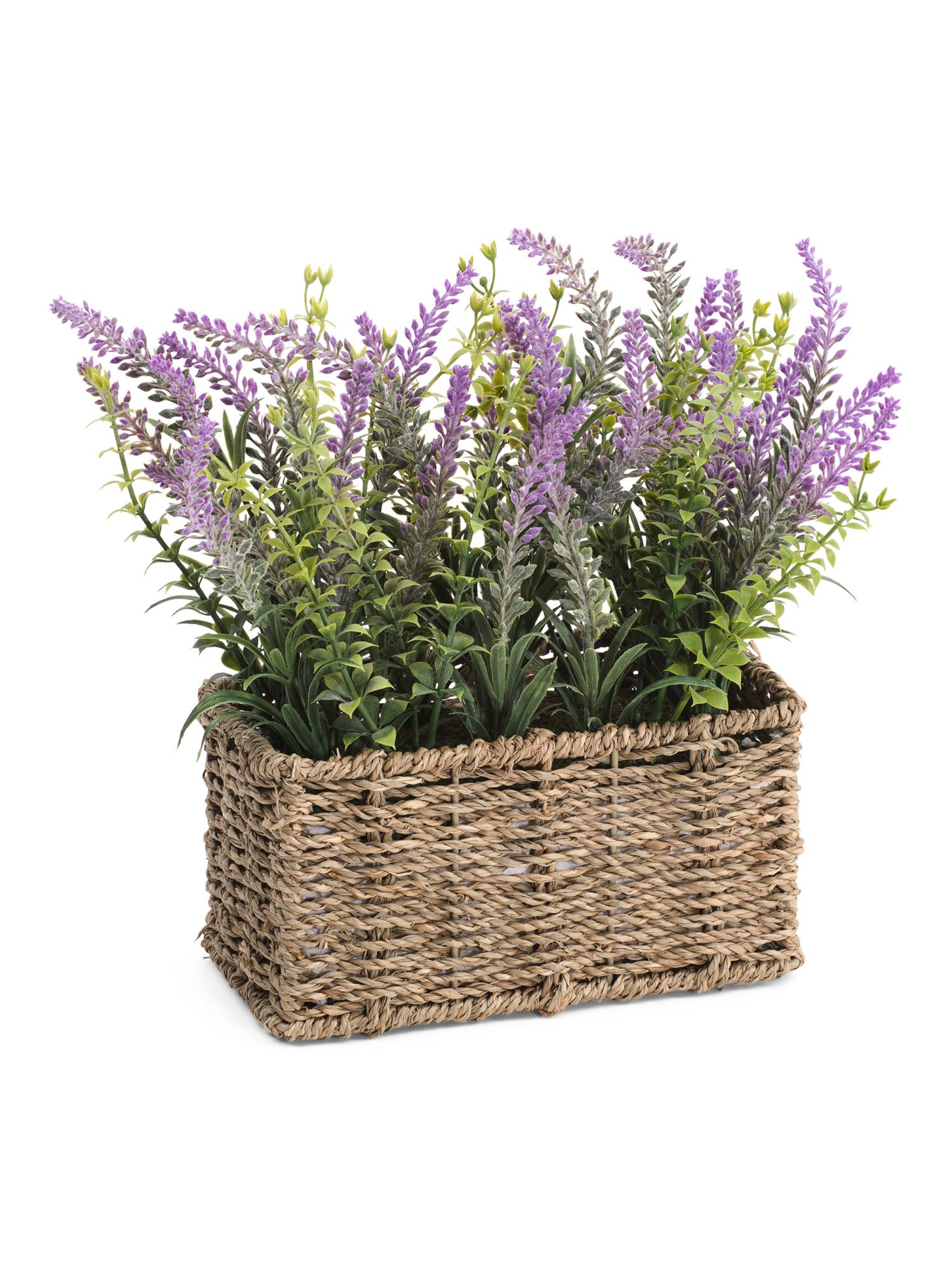 Lavender In Woven Ledge Basket | Plants & Planters | Marshalls | Marshalls