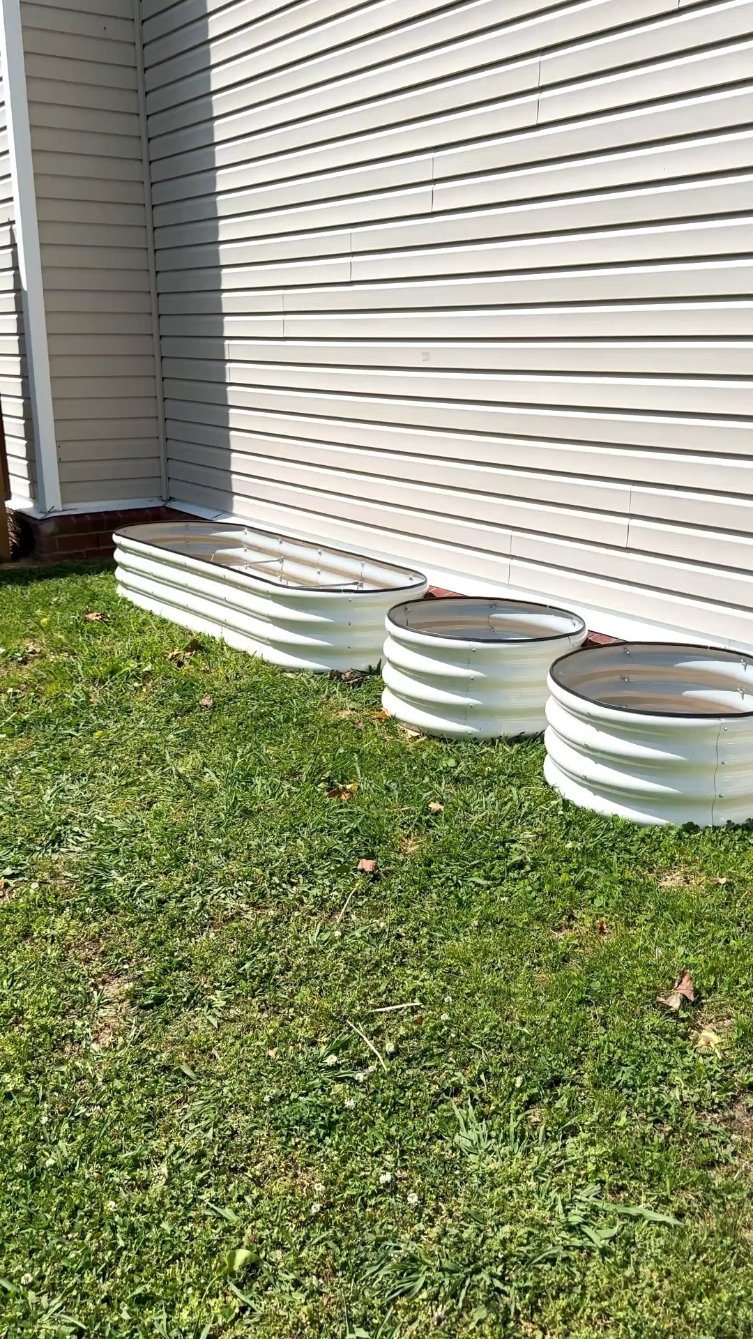 Obsessed with these white metal garden beds 🤍 They’re sturdy, weather-resistant, and make gardening feel so much more organized. Perfect for beginner gardeners or anyone creating a productive backyard space. I bought two sets and we turned them into 2 6x2 beds AND 2 round beds.

#vegetablegarden #gardenbeds #homegarden #organicgardening #growfood

#LTKHome #LTKmomlife #LTKSeasonal