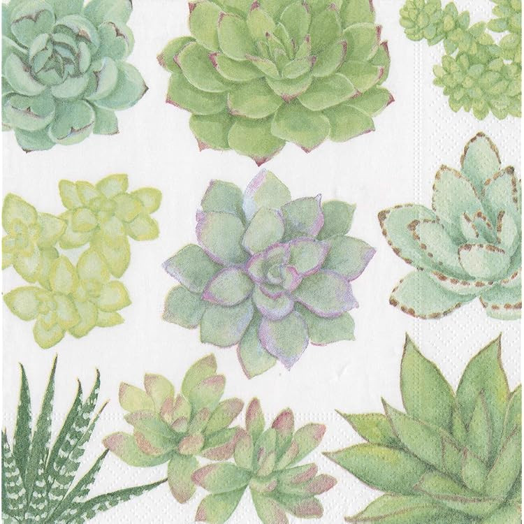 Caspari Succulents Paper Luncheon Napkins - 20 Per Package | Amazon (US)