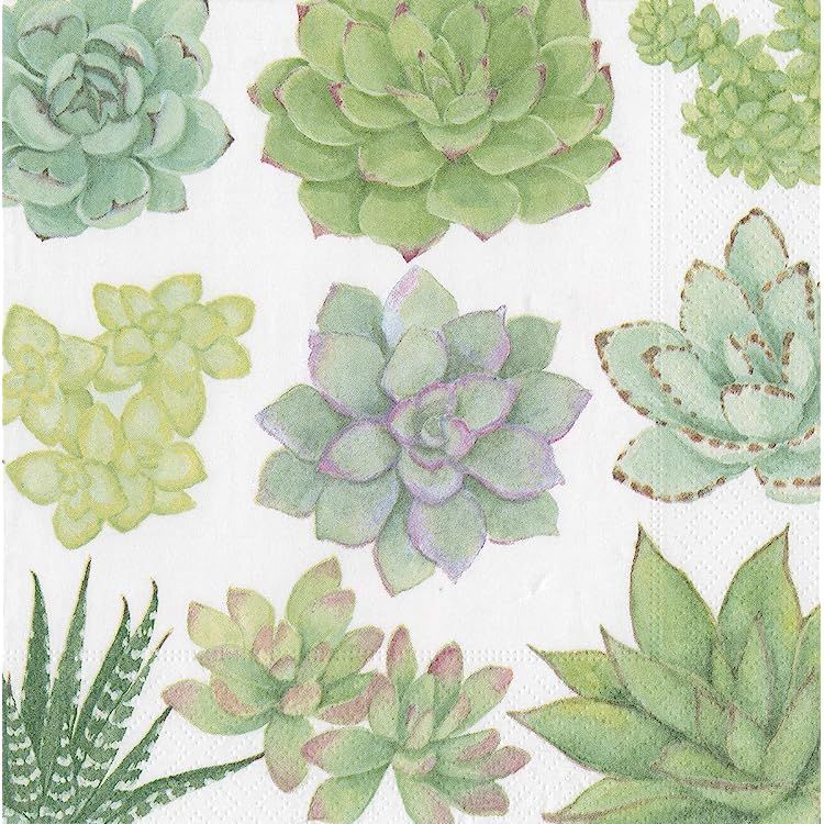 Caspari Succulents Paper Luncheon Napkins - 20 Per Package | Amazon (US)