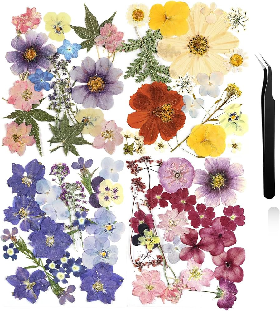Nuanchu Pressed Flowers Bulk Dried Flower for Crafts, Dried Flower Leave Natural with Tweezer for... | Amazon (US)