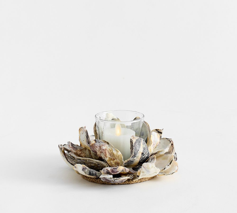 Oyster Shell Hurricane Candle Holder | Pottery Barn (US)