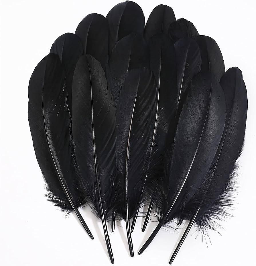 Ballinger Black Craft Feathers Bulk - 120Pcs 6-8 Inch Real Goose Feathers for DIY Halloween Decor... | Amazon (US)
