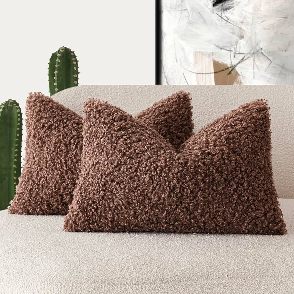 Foindtower Set of 2 Curly Teddy Wool Pillow Covers Decorative Boucle Textured Lumbar Throw Pillow... | Amazon (US)