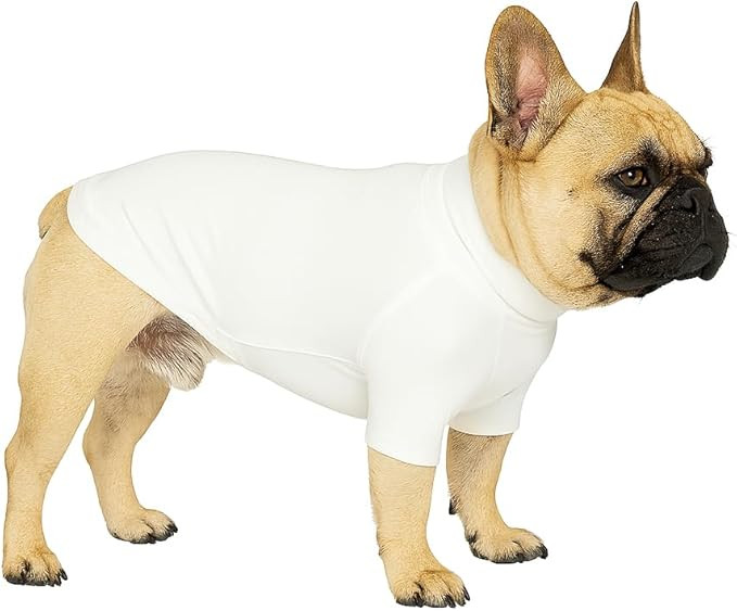 Premium Yoga-Fabric Dog T-Shirt – Breathable, Stretchy, Anti-Shedding Pet Clothes for All Seaso... | Amazon (US)