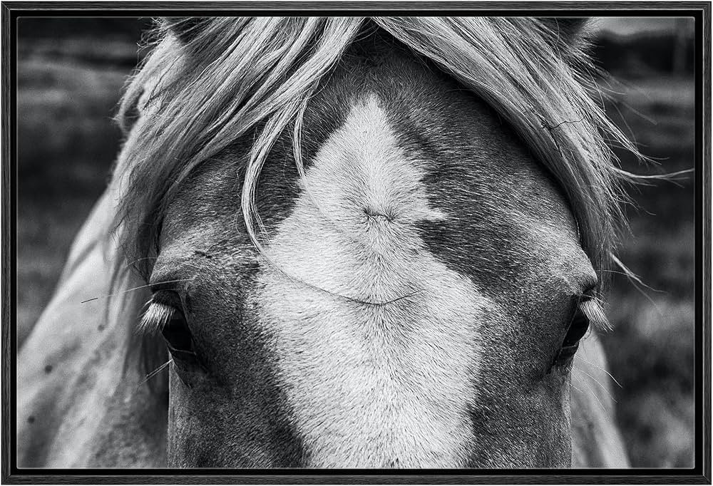 SIGNLEADER Framed Canvas Print Wall Art Black and White Horse Canvas Wall Art for Home Office - 2... | Amazon (US)