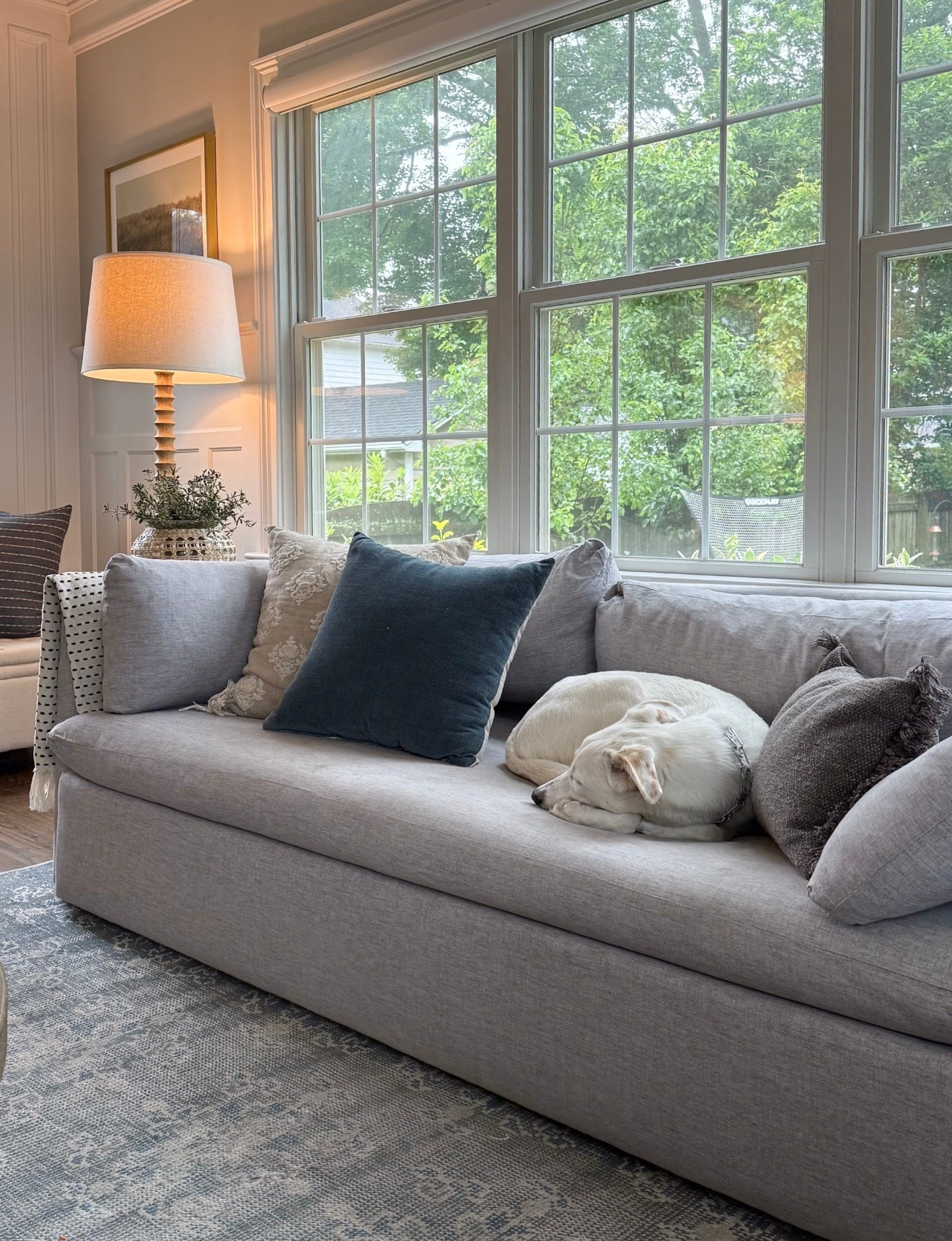 The sofa so nice I bought it twice is on sale! We have it in our den in the “graphite” fabric and in the “frost gray” fabric in our living room. Love the shape and it’s very comfortable!           

Comment SHOP below to receive a DM with the link to this post on my LTK ⬇ https://liketk.it/5O2Tq #ltkhome #ltksalealert #ltkseasonal

#LTKSaleAlert #LTKSeasonal #LTKHome