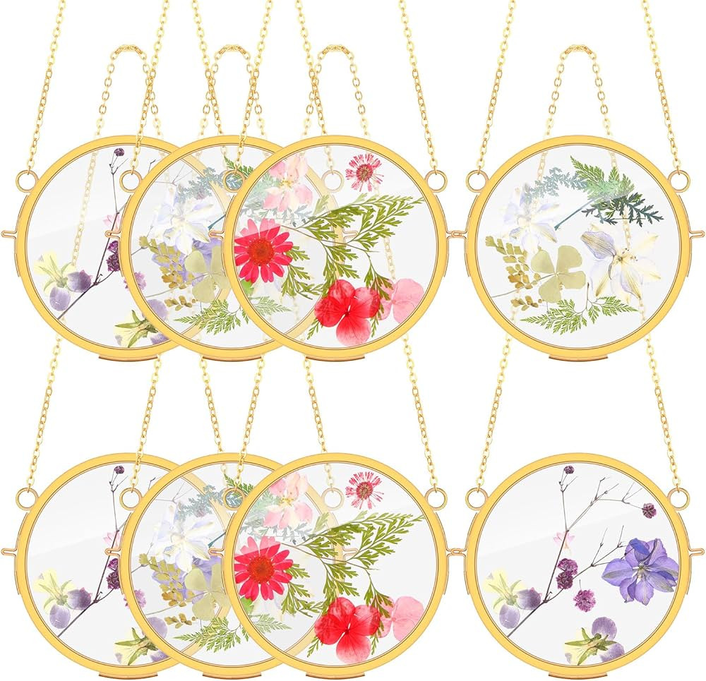 8 Pack Round Hanging Glass Frame Small Brass Hanging Photo Frames Set Wall Mounted Gold Double Gl... | Amazon (US)