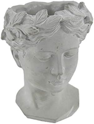 Zeckos Classic Greek Grey Lady Indoor Outdoor Cement Head Planter | Amazon (US)