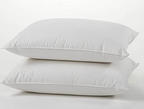 European White Goose Down Pillow - Standard Size Pillow for Sleeping - Set of 2 - 800 Fill Power ... | Amazon (US)
