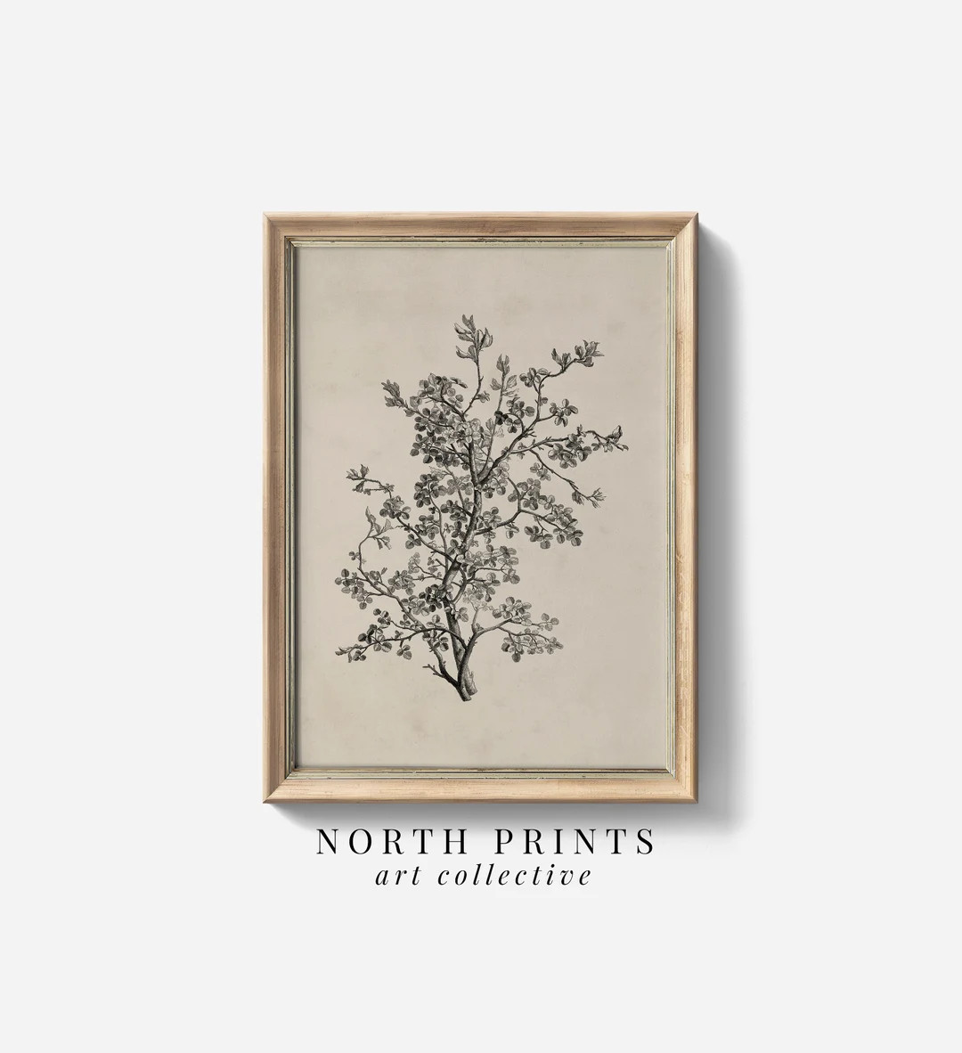 Antique Botanical Sketch Vintage Wall Art PRINTABLE Neutral Farmhouse Kitchen Digital Download No... | Etsy (US)