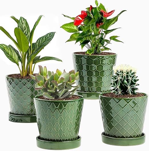 EFISPSS Flower Planter –5 inch Ceramic Plant Pots with Drainage Hole and Ceramic Tray - Gardeni... | Amazon (US)