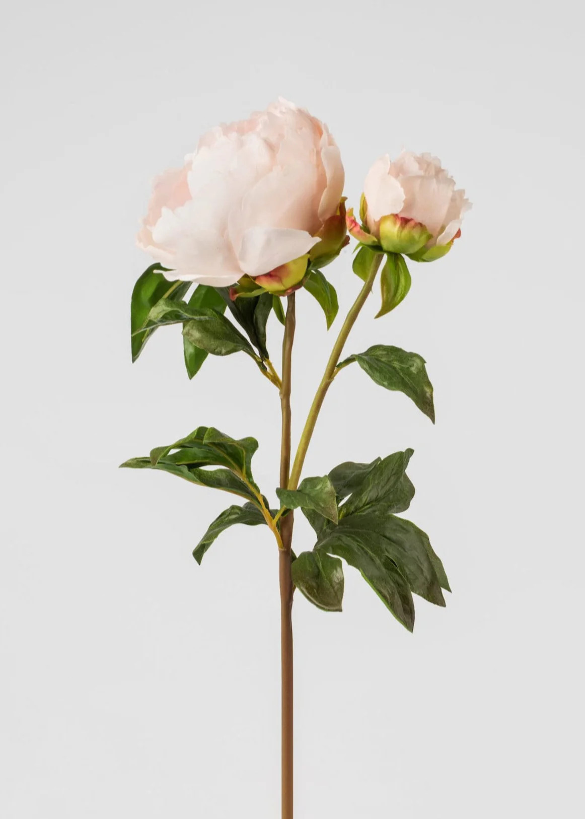 Real Touch Fake Flowers Blush Peony - 27 | Afloral