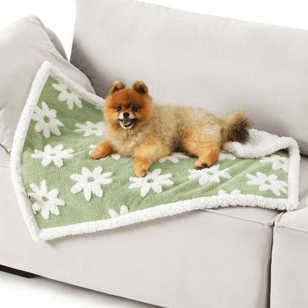 Lesure Waterproof Calming Double-Sided Jacquard Shag & Soft Sherpa Fleece Furniture Protector Dog... | Chewy.com