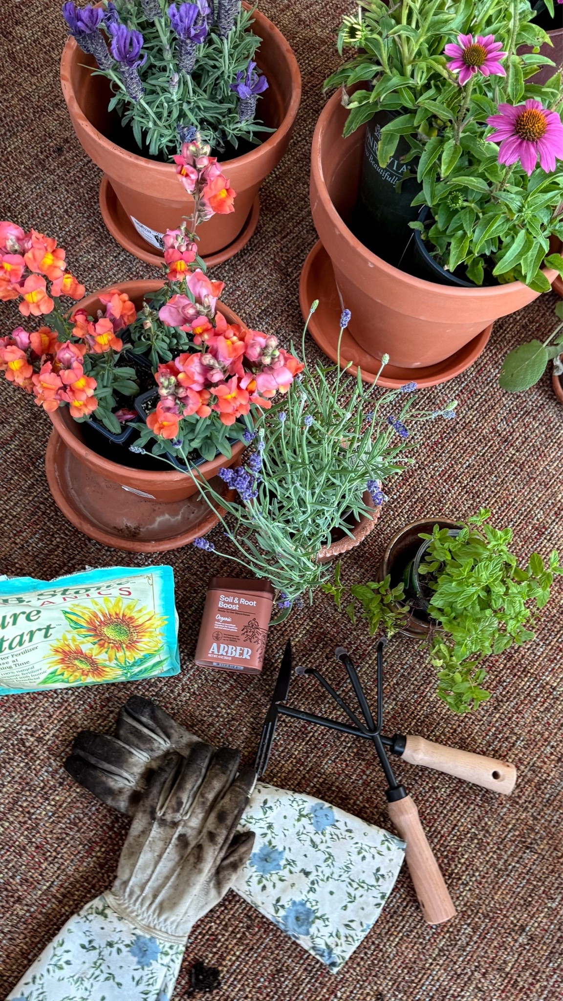 in my garden girl era. 
my planting essentials.

#LTKOver40 #LTKSeasonal #LTKHome
