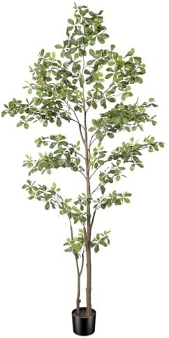 PHYTREE Faux Black Olive Tree 7ft, Artificial Shady Lady Tree with Natural Trunk and Realistic Le... | Amazon (US)