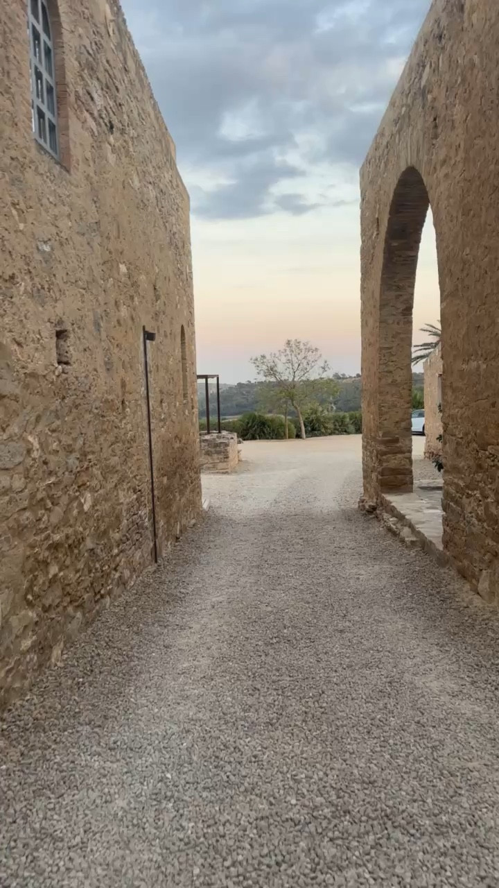 7 august random outfits 🫶🏼🪸🩴🐚


#LTKstyletip #LTKeurope #LTKSeasonal