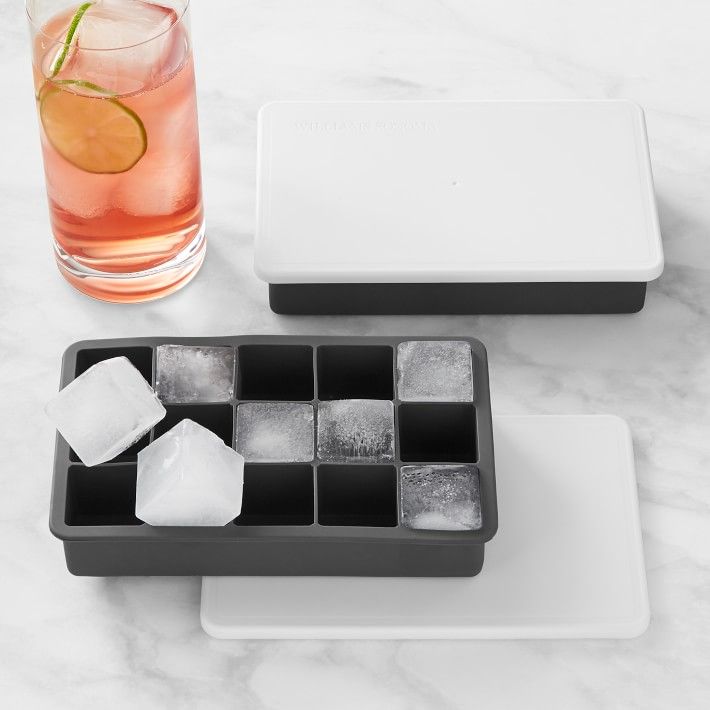 Williams Sonoma Perfect Cube Tray with Lid, Set of 2 | Williams-Sonoma