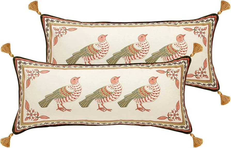 bilin gaier Rectangle Throw Pillow Covers Pack of 2,Velvet Farmhouse with Birds Pattern Pillowcas... | Amazon (US)